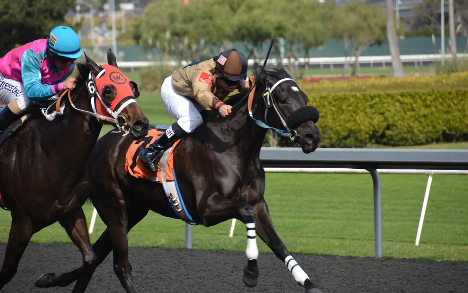 Horseracing, race and horses