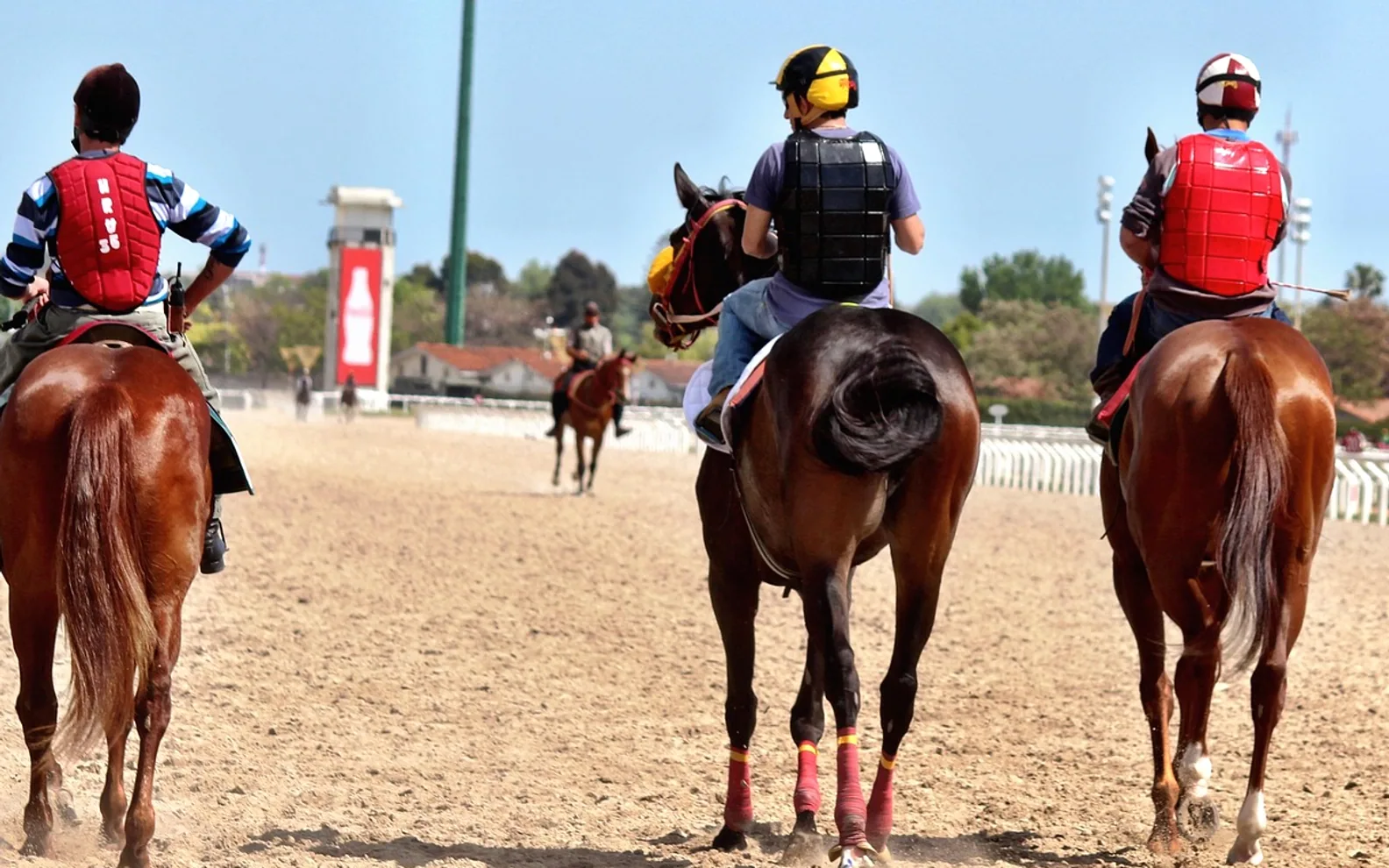 Horse racing, horses and thoroughbred